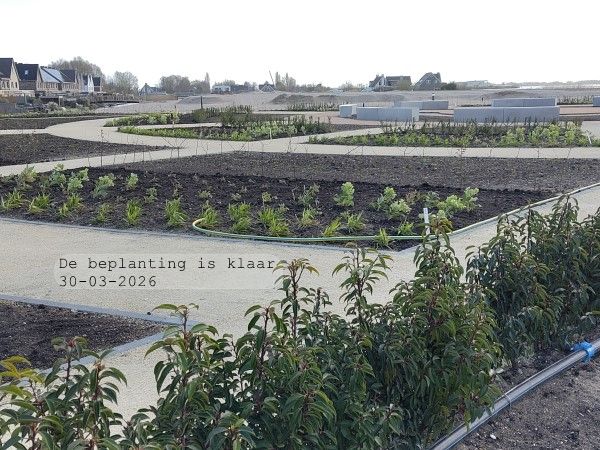 Planten geplant